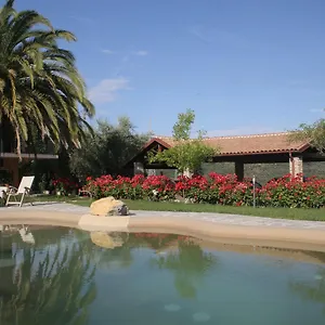 Ada Musso Alloggio per agriturismo Diano Borello